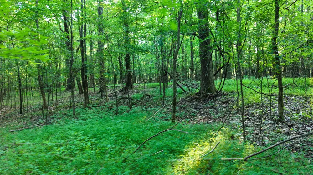 0 E Larry Anderson Ln Arlington, TN 38002