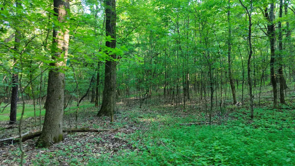 0 E Larry Anderson Ln Arlington, TN 38002