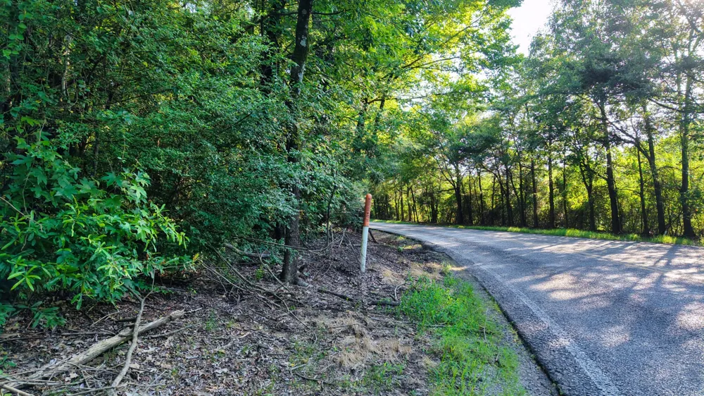 0 E Larry Anderson Ln Arlington, TN 38002