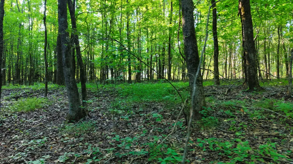 0 E Larry Anderson Ln Arlington, TN 38002