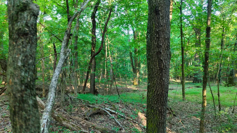 0 E Larry Anderson Ln Arlington, TN 38002