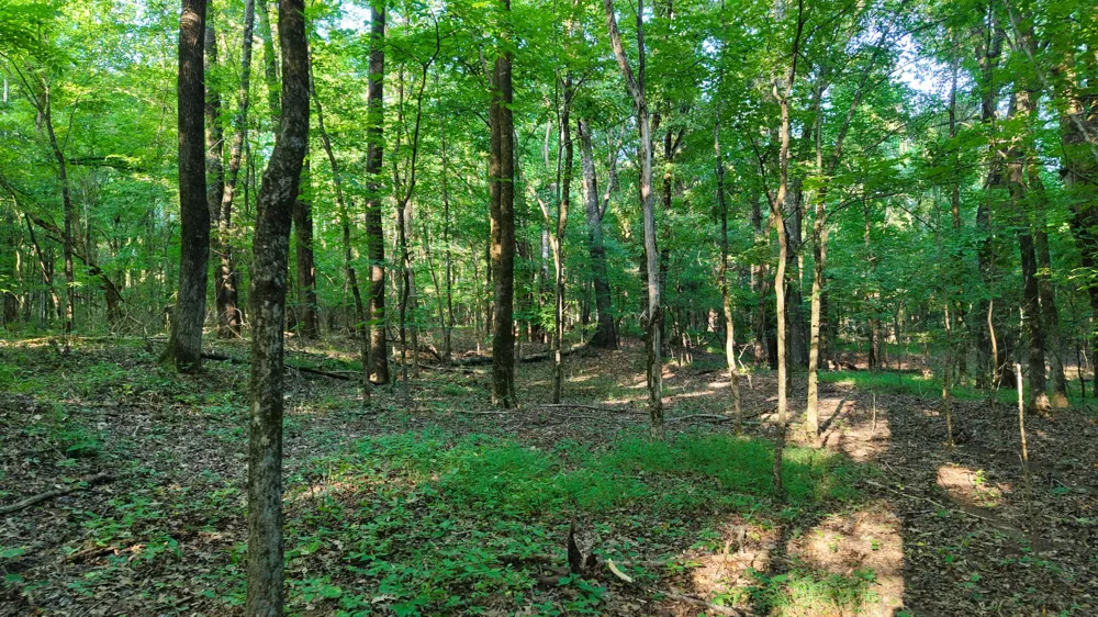 0 E Larry Anderson Ln Arlington, TN 38002