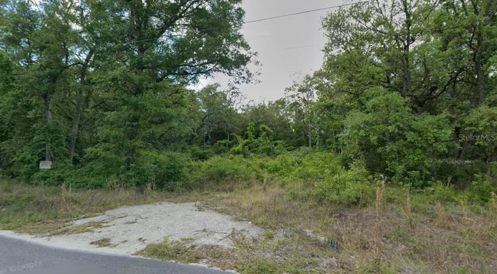 413 NE 808TH STREET Old Town, FL 32680
