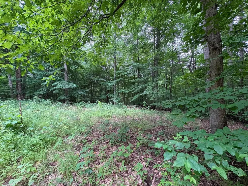 0 Knox Ln Clarksville, TN 37040