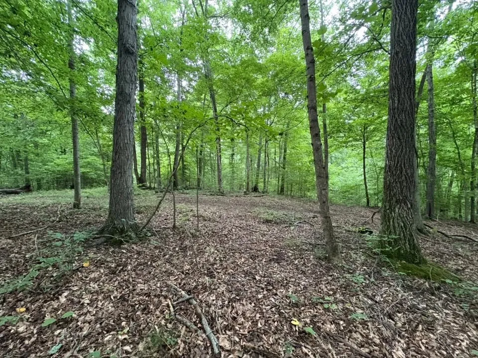 0 Knox Ln Clarksville, TN 37040