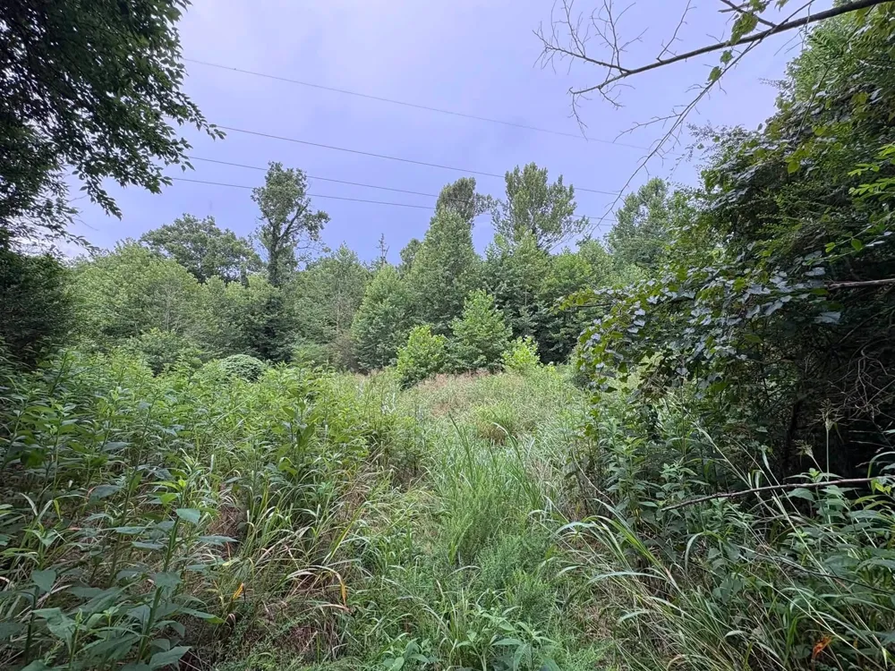 0 Knox Ln Clarksville, TN 37040
