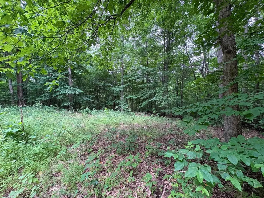 0 Beech St Clarksville, TN 37040