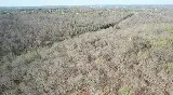 0 Knox Ln Clarksville, TN 37040