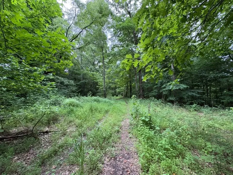0 Knox Ln Clarksville, TN 37040