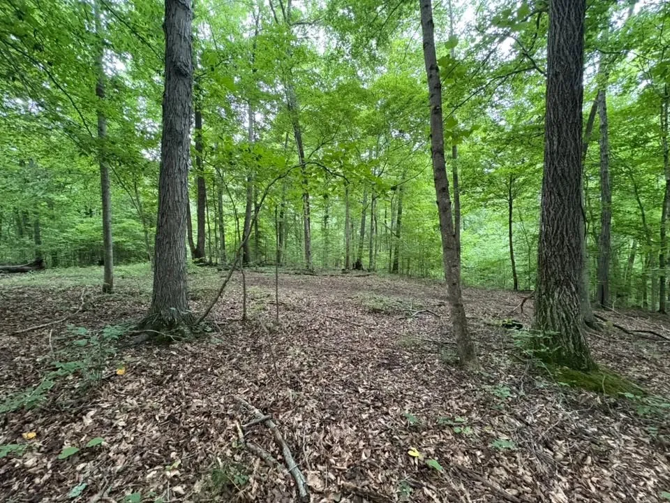 0 Knox Ln Clarksville, TN 37040