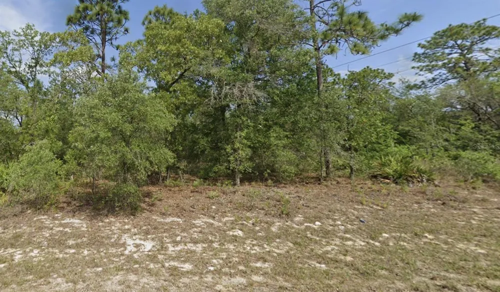 6791 DARLINGTON DRIVE Citrus Springs, FL 34434