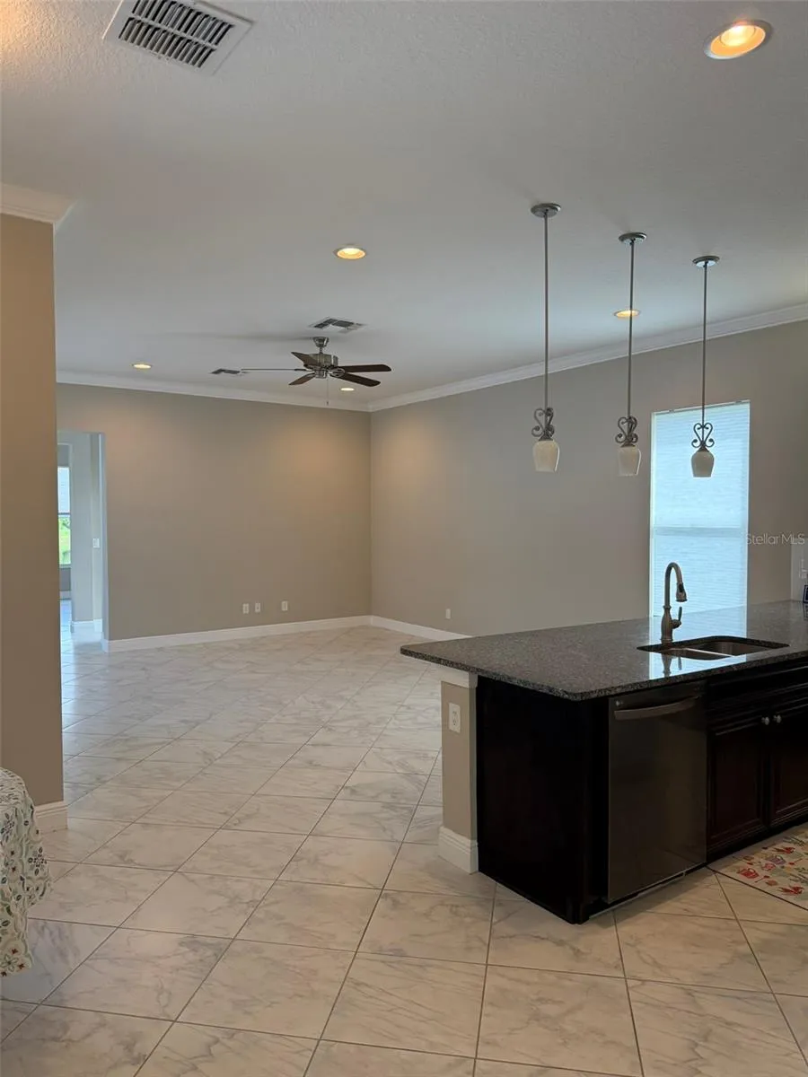 16015 CAPE CORAL DRIVE Wimauma, FL 33598