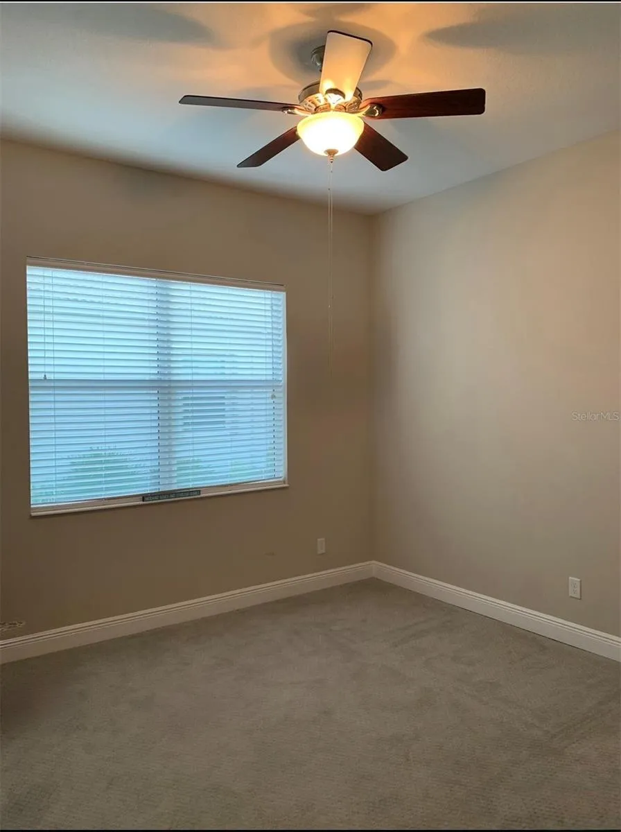 16015 CAPE CORAL DRIVE Wimauma, FL 33598