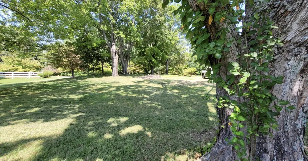 416 Bellamy Ln Clarksville, TN 37043