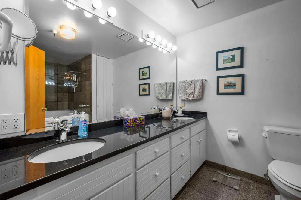 716 1st Street #534 Minneapolis, MN 55401