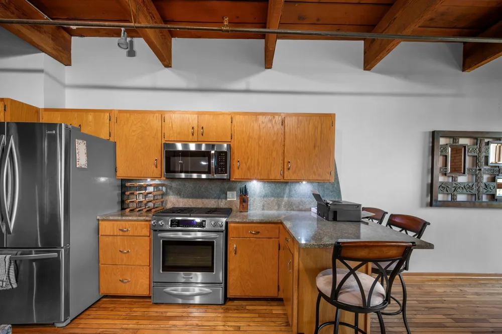716 1st Street #534 Minneapolis, MN 55401