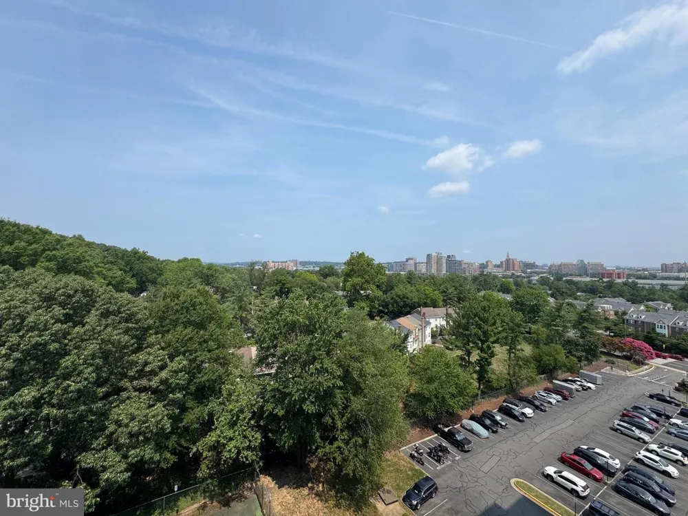 2059 HUNTINGTON AVENUE #1008 Alexandria, VA 22303