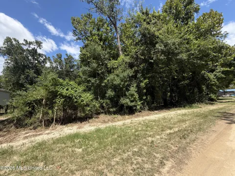 Plum Bluff Drive