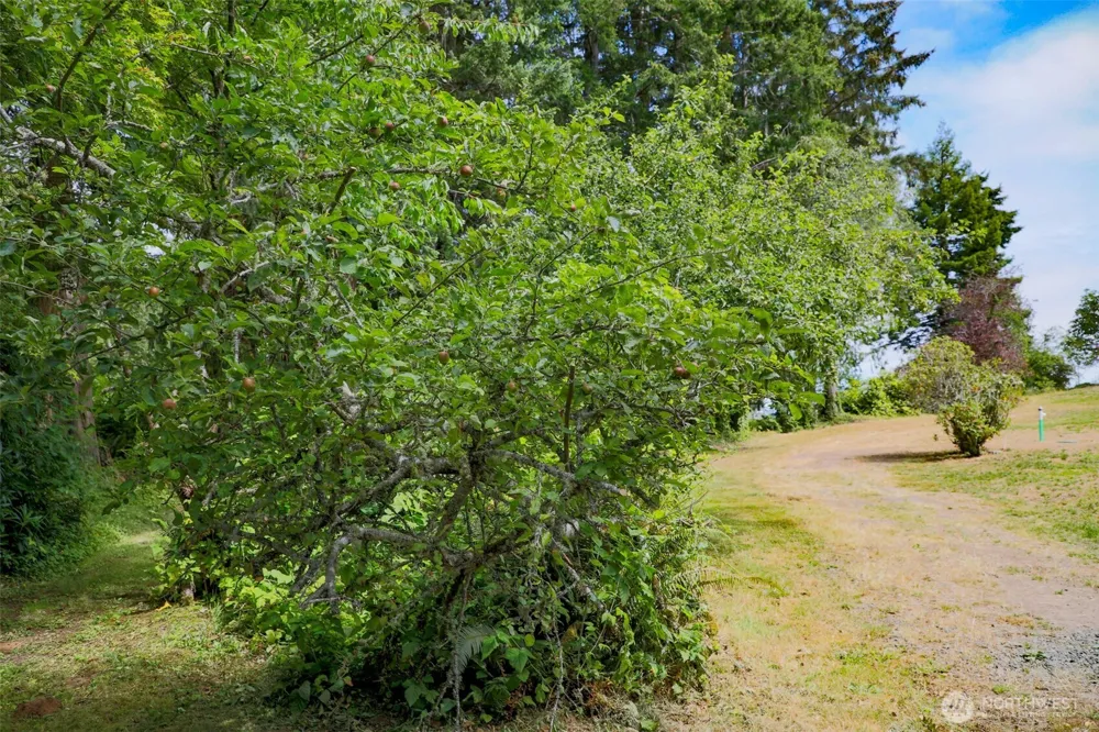 3984 NE Twin Spits Road Hansville, WA 98340