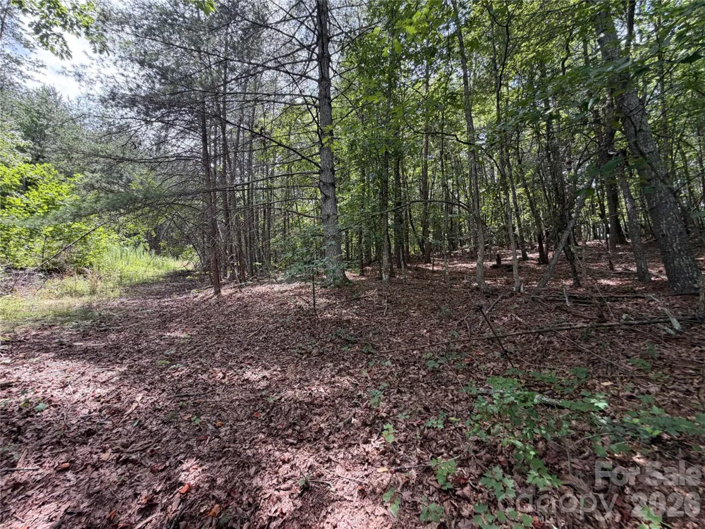 5022 Old NC 18 Highway Connelly Springs, NC 28612