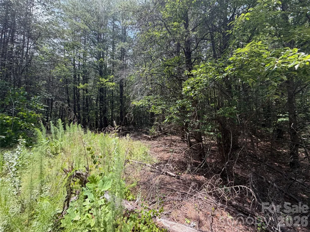 5022 Old NC 18 Highway Connelly Springs, NC 28612
