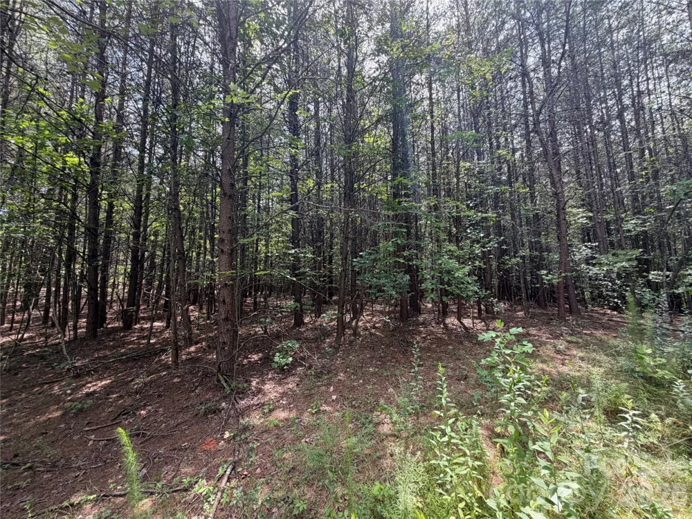 5022 Old NC 18 Highway Connelly Springs, NC 28612