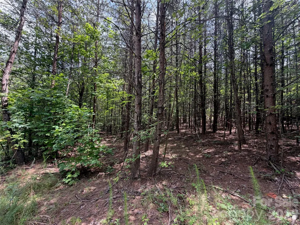 5022 Old NC 18 Highway Connelly Springs, NC 28612