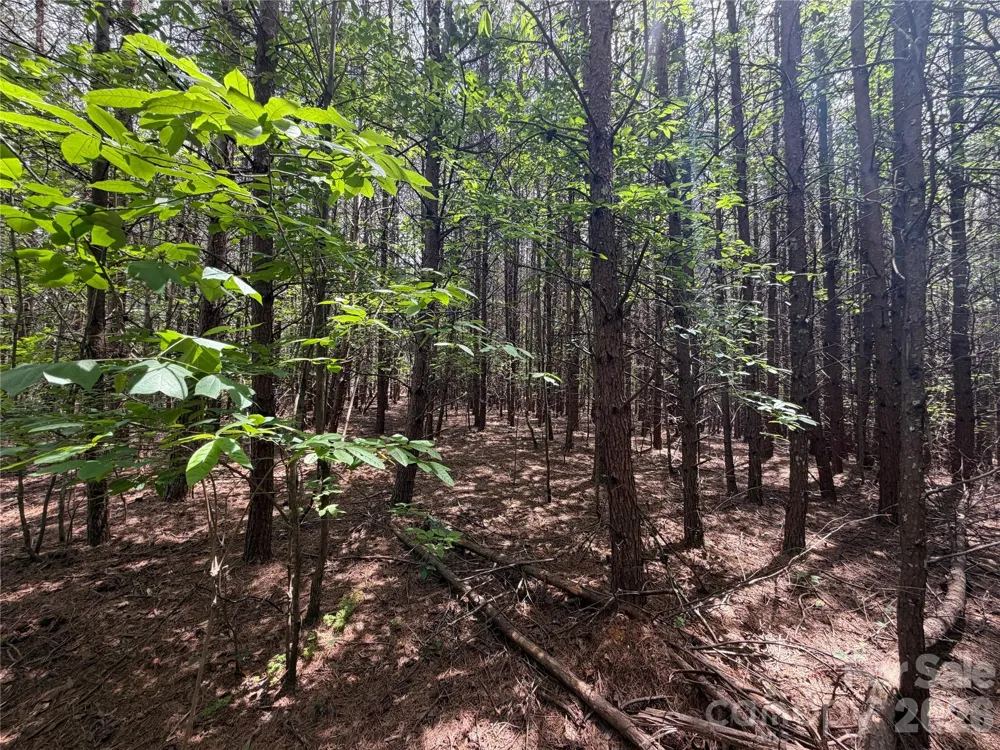 5022 Old NC 18 Highway Connelly Springs, NC 28612