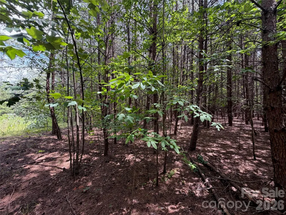 5022 Old NC 18 Highway Connelly Springs, NC 28612