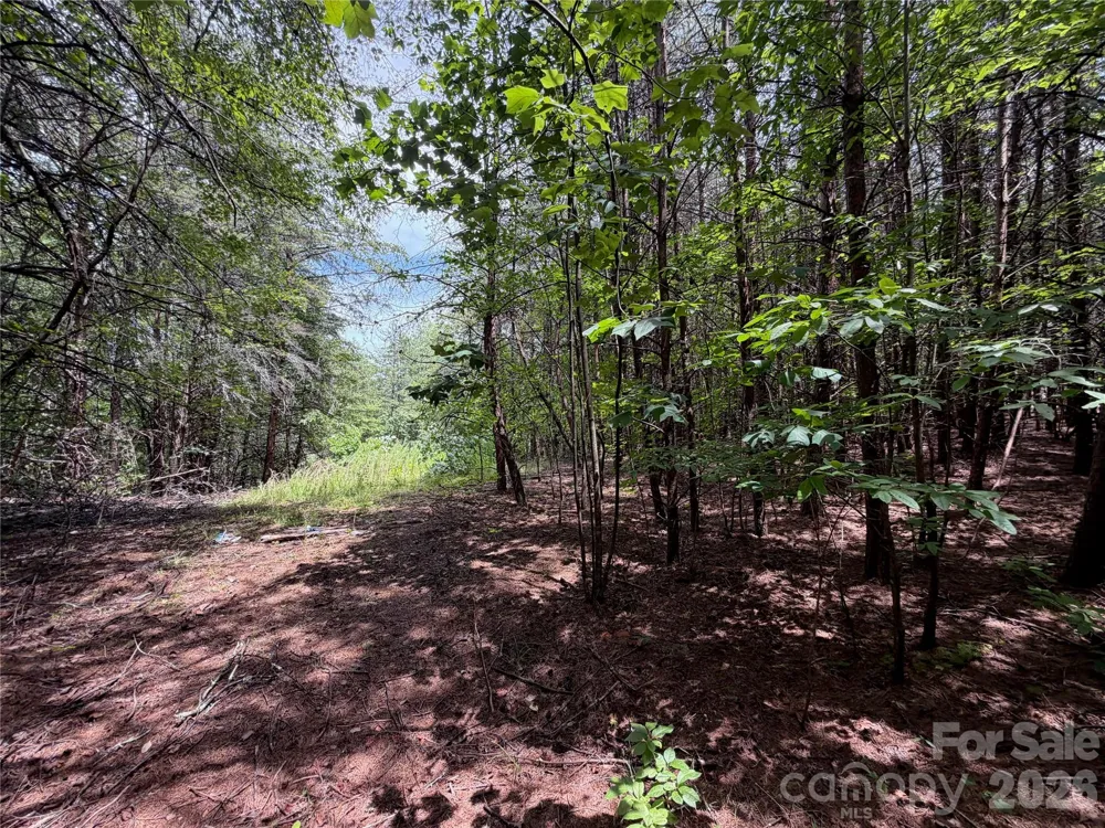 5022 Old NC 18 Highway Connelly Springs, NC 28612