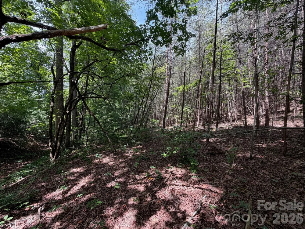 5022 Old NC 18 Highway Connelly Springs, NC 28612