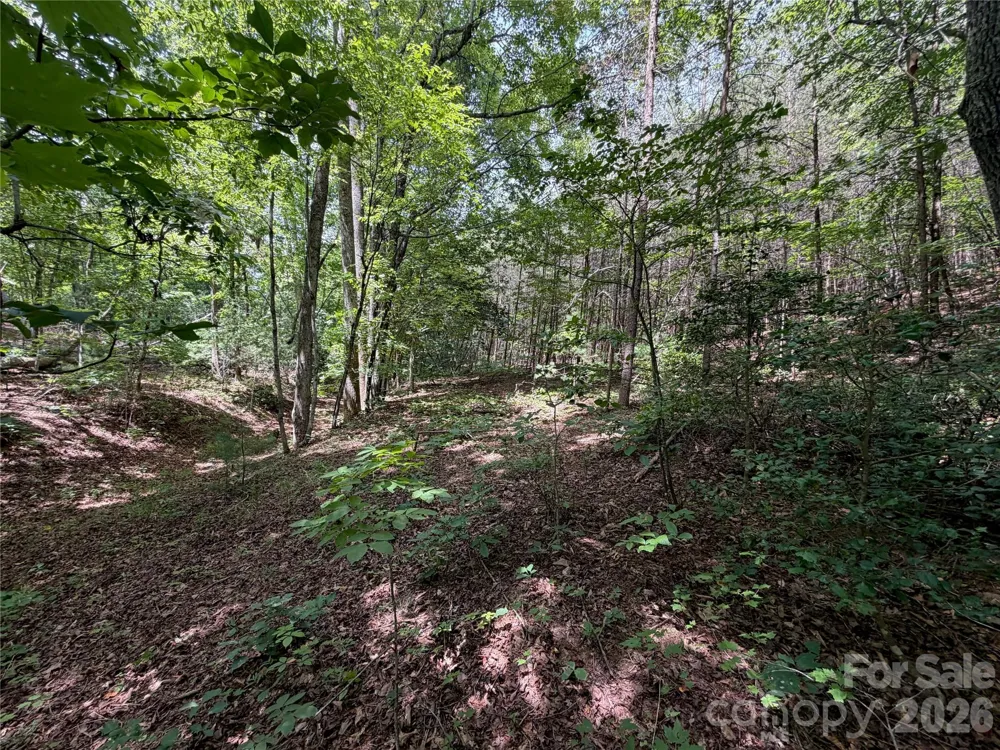 5022 Old NC 18 Highway Connelly Springs, NC 28612