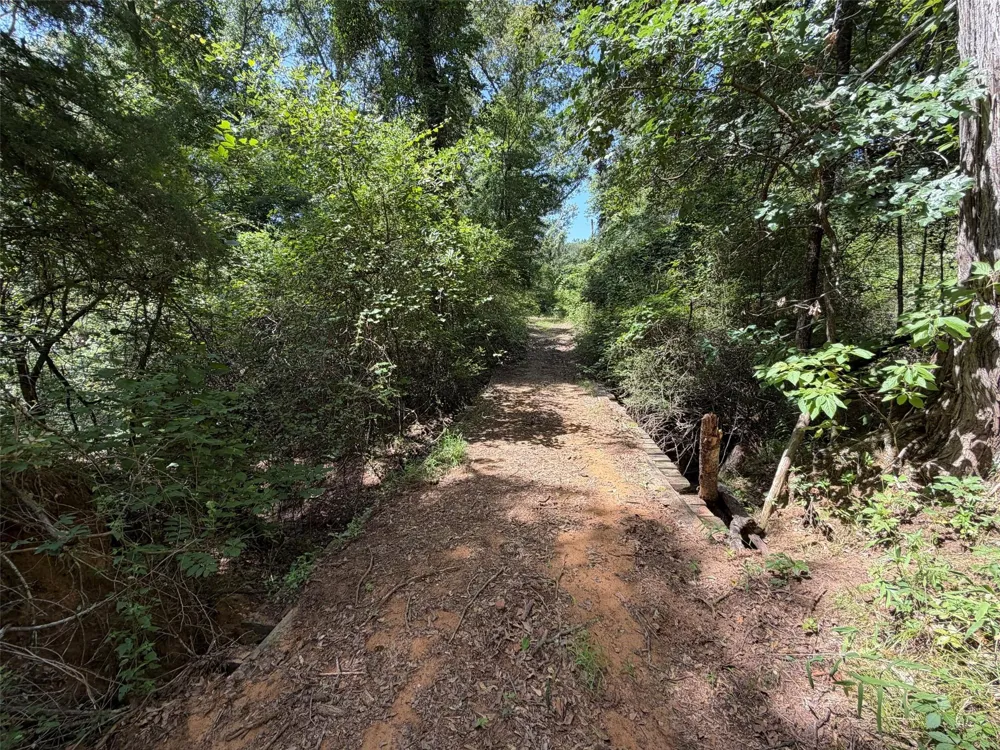 209 Fcr 261 Oakwood, TX 75855