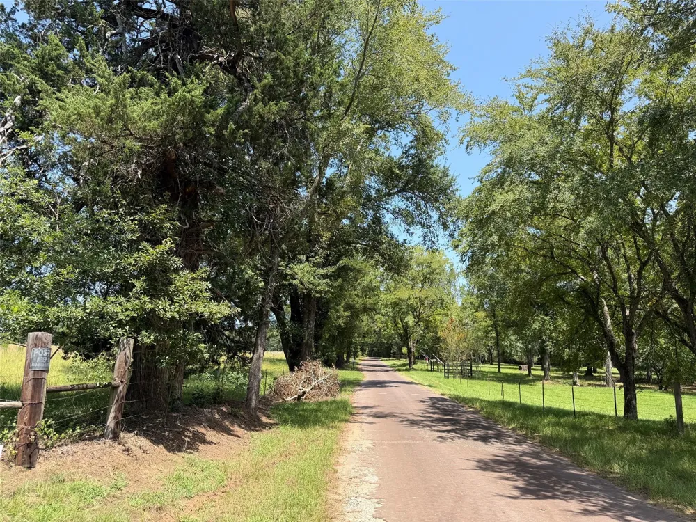 209 Fcr 261 Oakwood, TX 75855