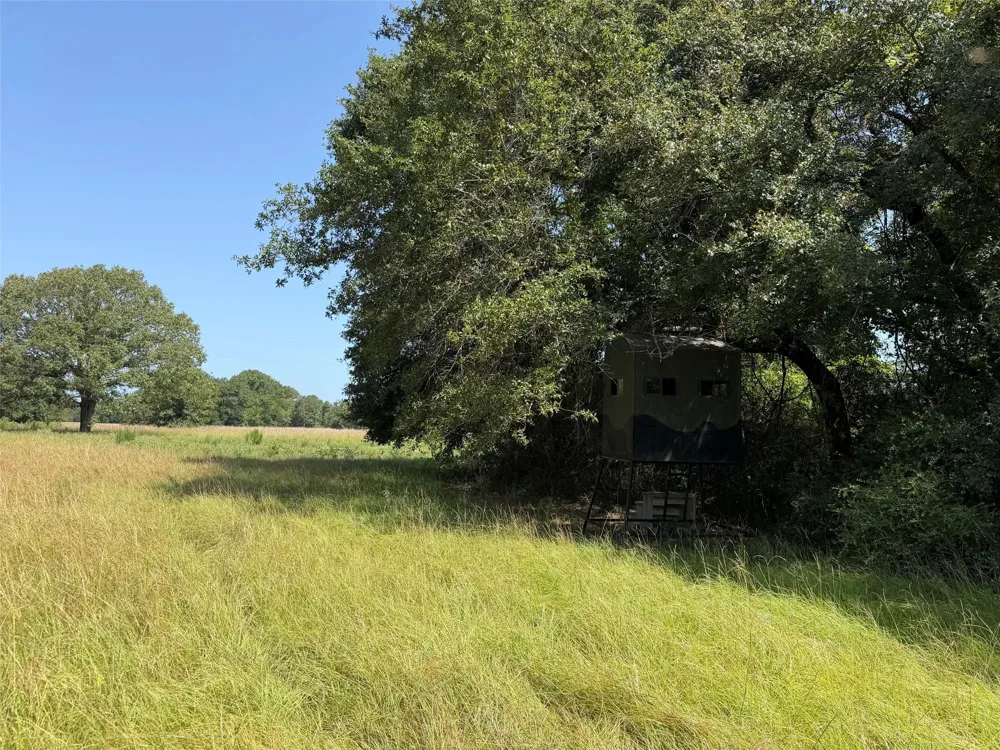 209 Fcr 261 Oakwood, TX 75855
