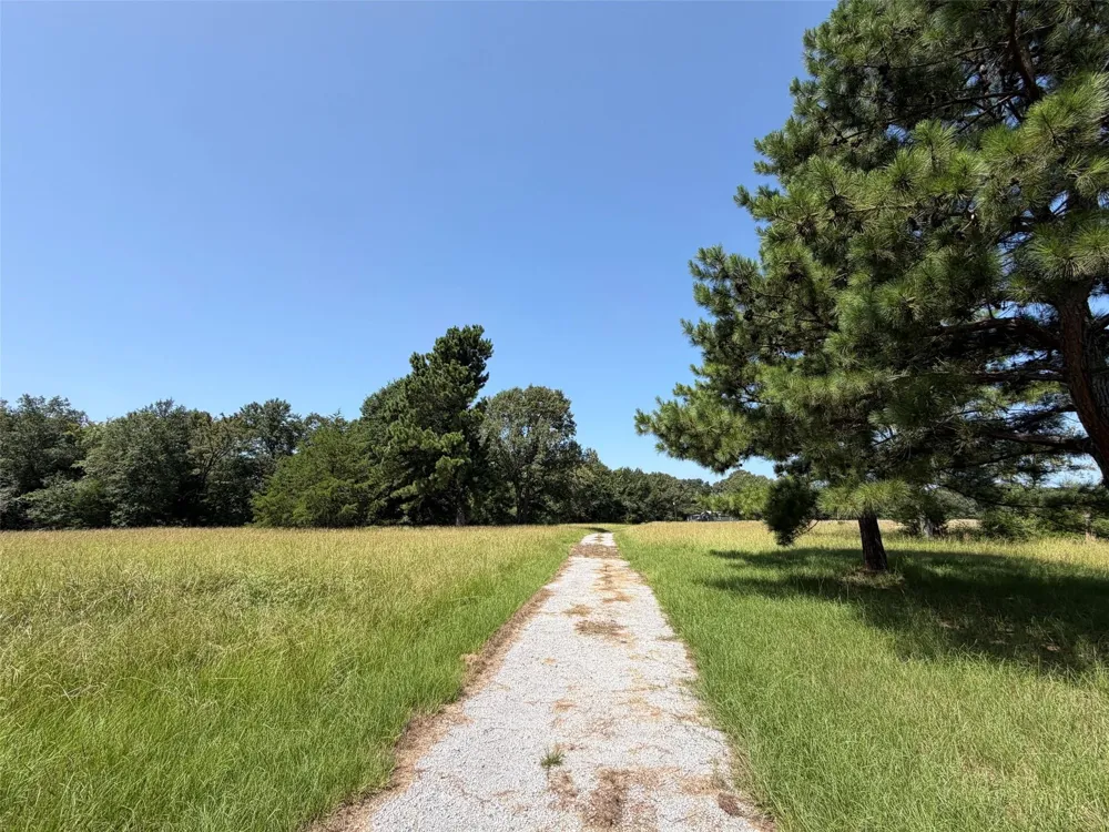209 Fcr 261 Oakwood, TX 75855