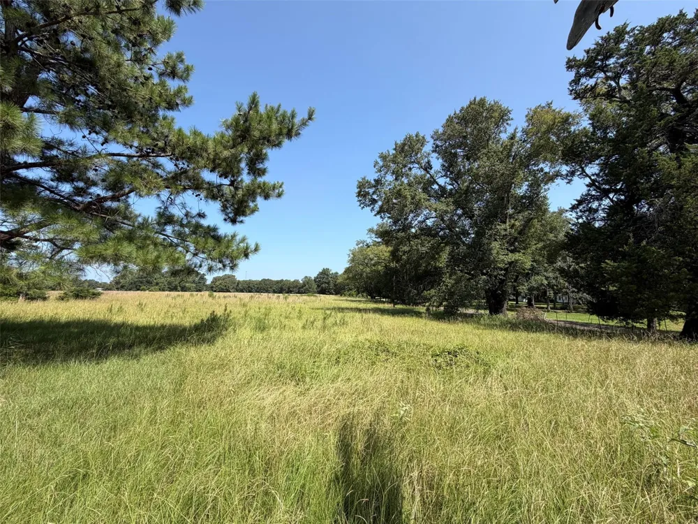 209 Fcr 261 Oakwood, TX 75855