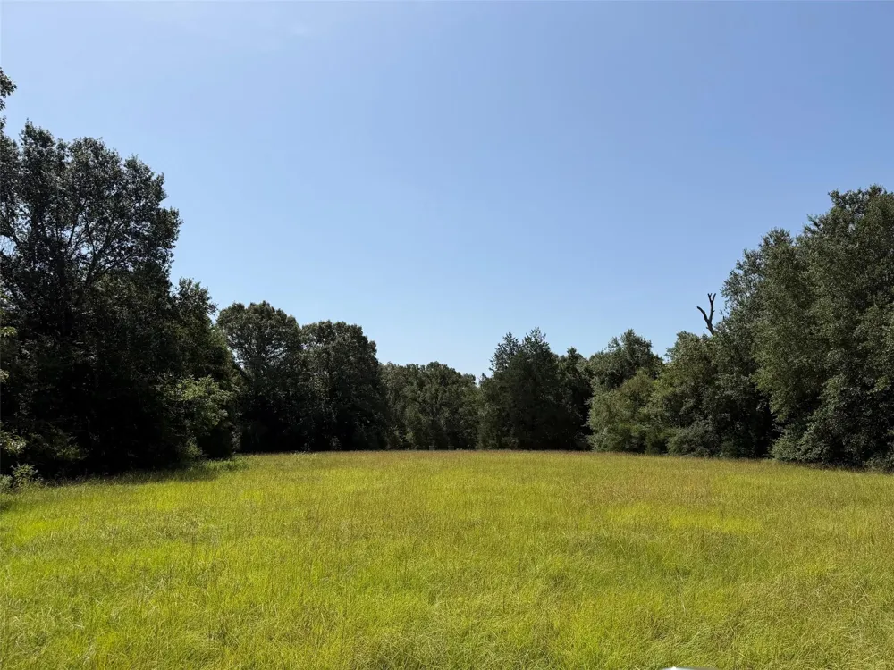 209 Fcr 261 Oakwood, TX 75855