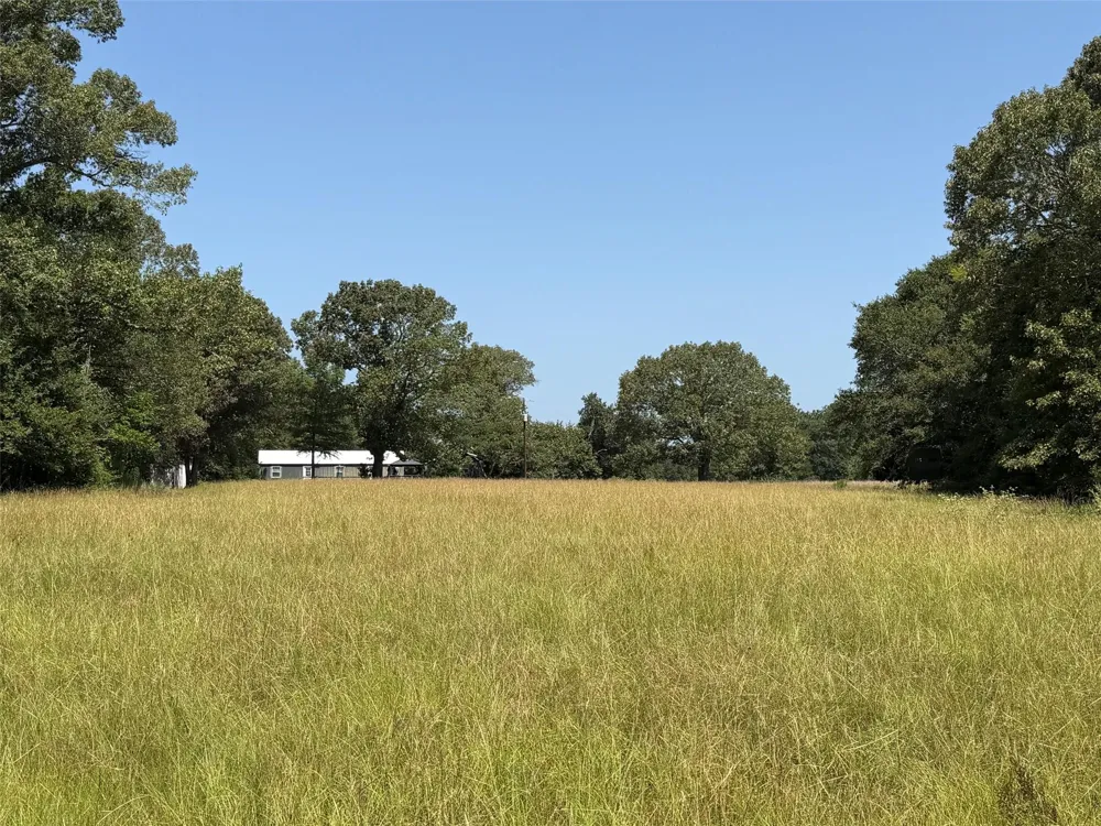 209 Fcr 261 Oakwood, TX 75855