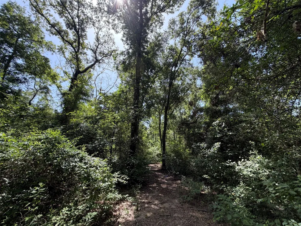 209 Fcr 261 Oakwood, TX 75855