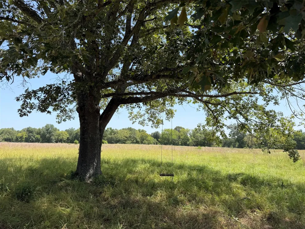 209 Fcr 261 Oakwood, TX 75855