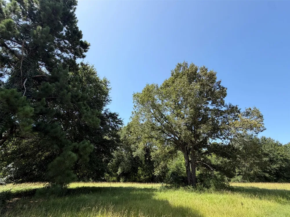 209 Fcr 261 Oakwood, TX 75855