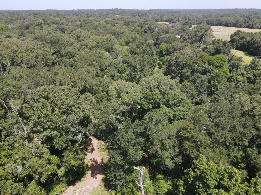 209 Fcr 261 Oakwood, TX 75855