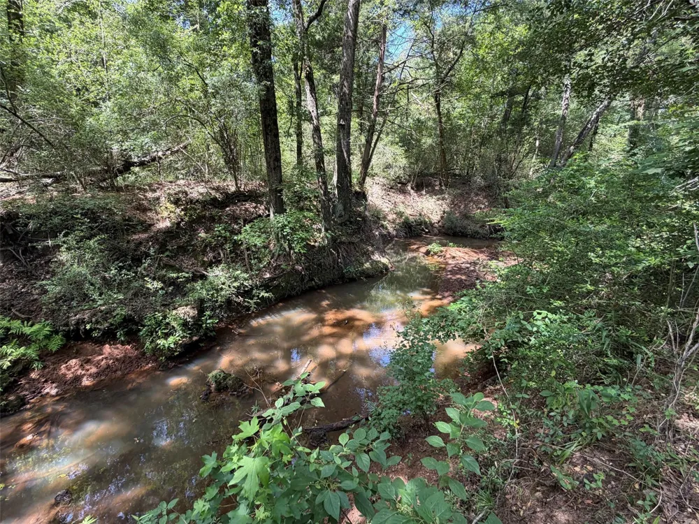 209 Fcr 261 Oakwood, TX 75855