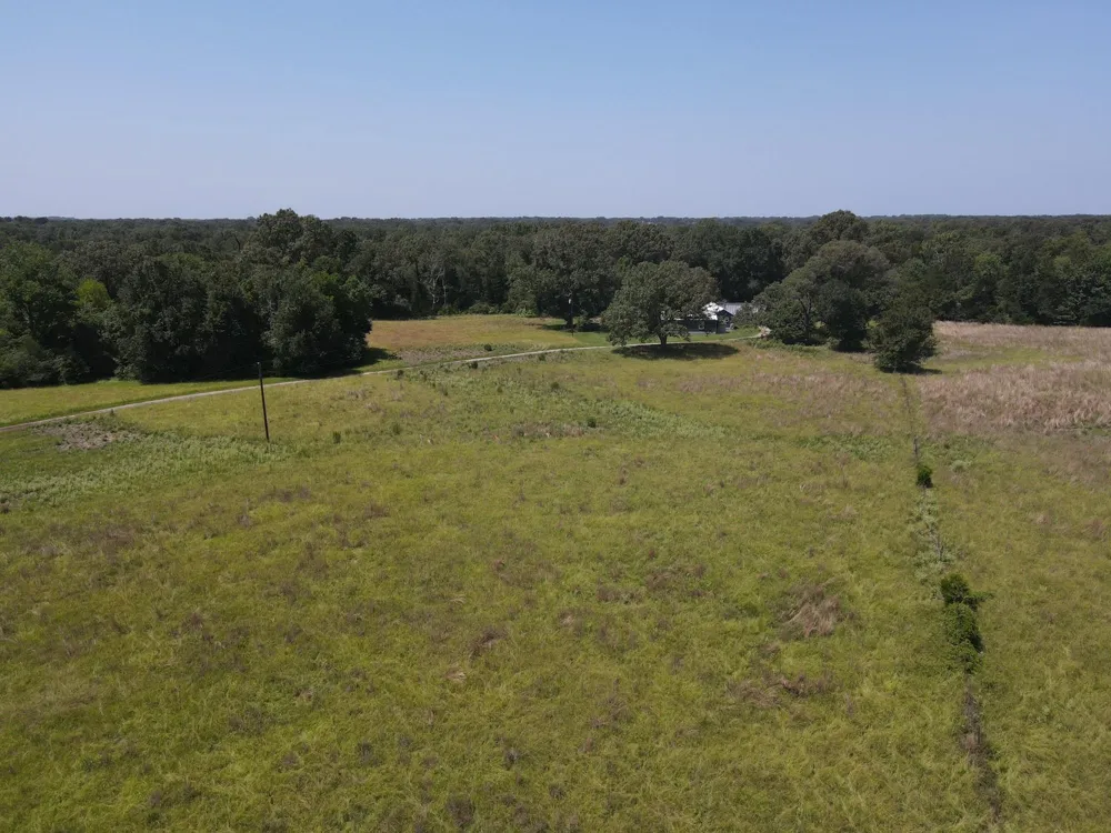 209 Fcr 261 Oakwood, TX 75855