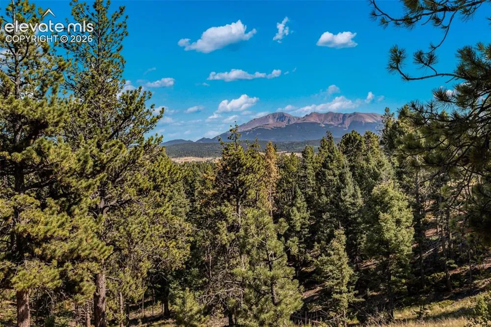 274 Pinecrest Road Woodland Park, CO 80863