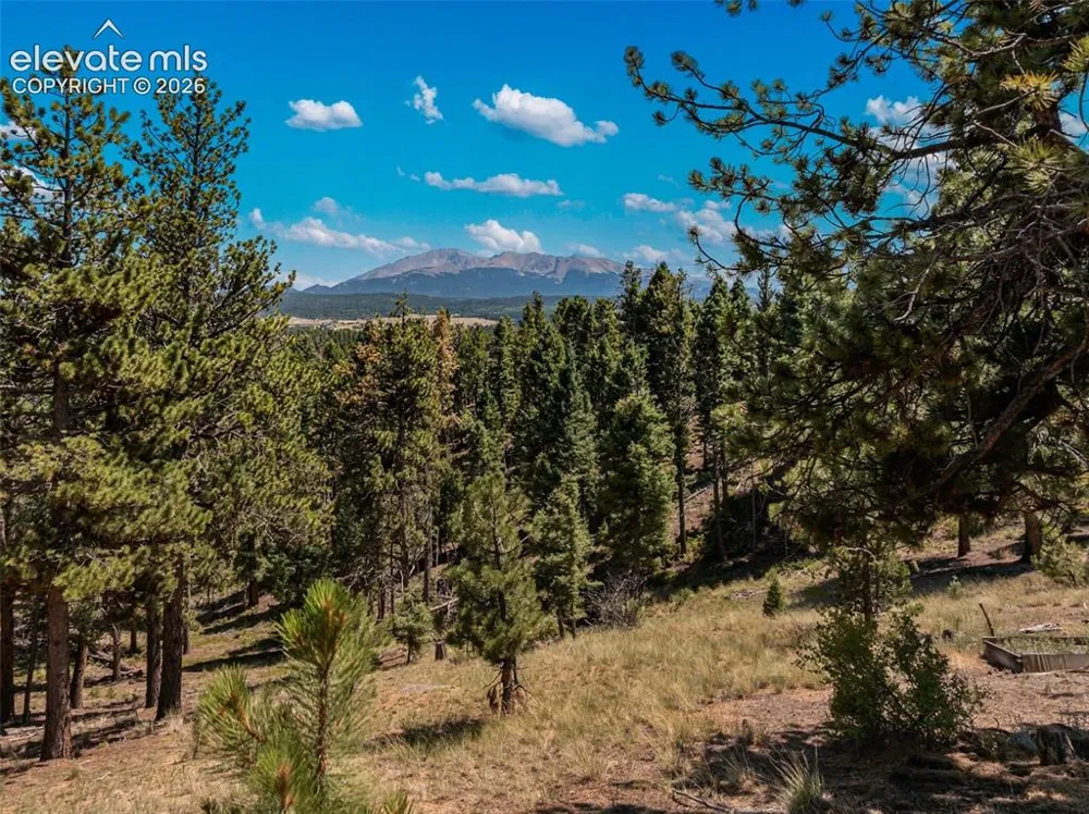 274 Pinecrest Road Woodland Park, CO 80863