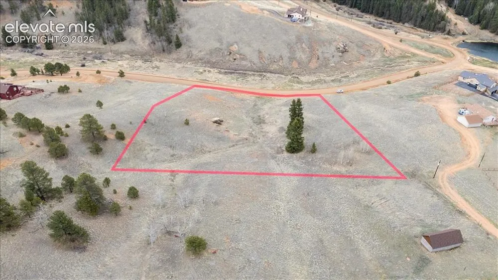 175 Twin Lakes Drive Divide, CO 80814