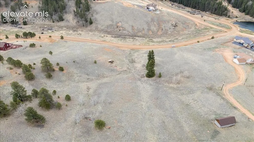 175 Twin Lakes Drive Divide, CO 80814