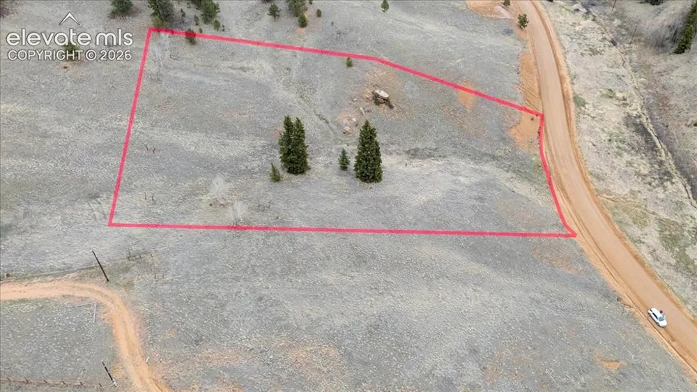 175 Twin Lakes Drive Divide, CO 80814